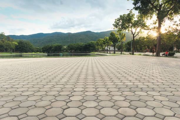 Best Concrete Paver Driveway  in Lake Brownwood, TX